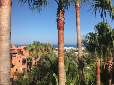 View from the terrace
