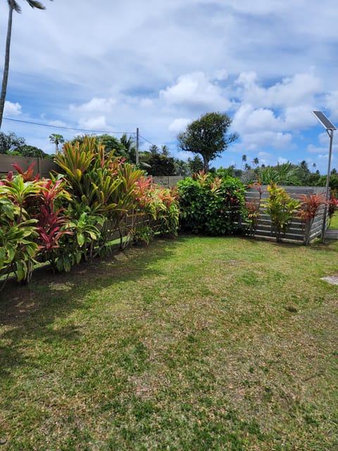 Tropical garden and yard.