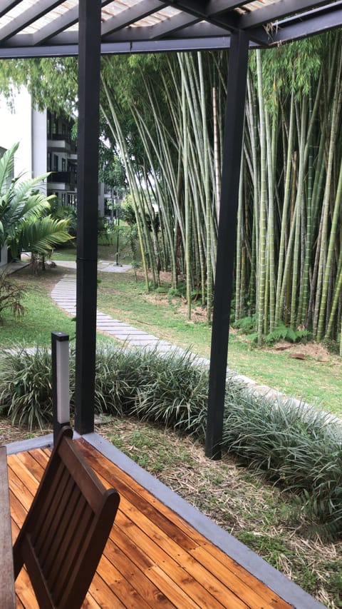 View from dinning room