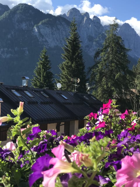 Sasso Rosso Apartment with Alps View Apartment in Trentino-South Tyrol