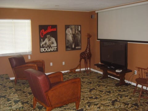 Movie Theater Styled Living Room
