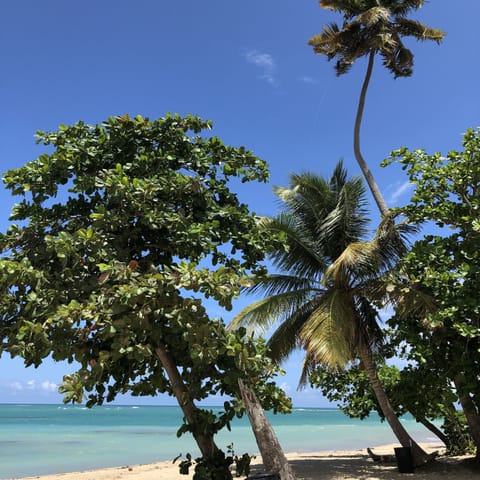 Actual photo taken by me on my iPhone at the beach at Aquatika.