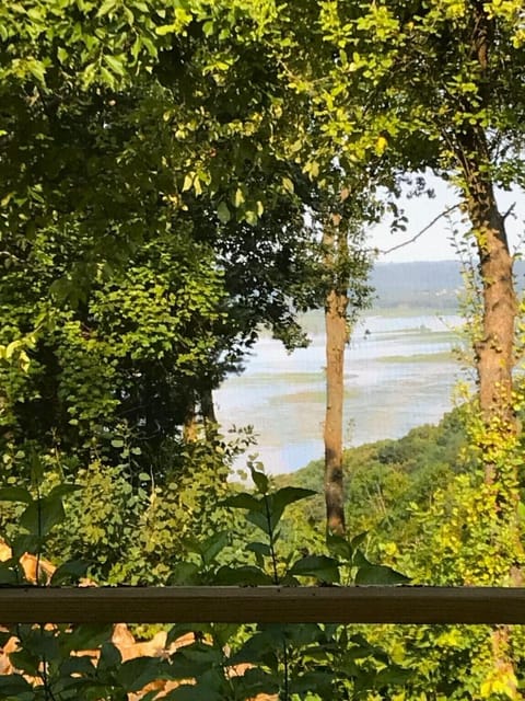 Summer view from the deck