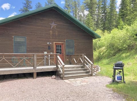 BBQ propane grill for guests use 