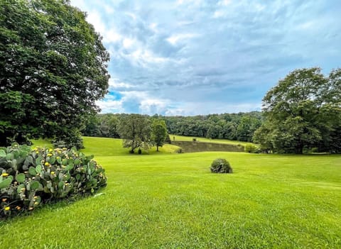 Wonderful views in every direction!