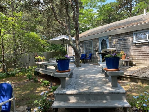 Welcome to Salt N’ Pepper Landing....