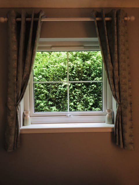 Bedroom view out of window, hear the owls at night 