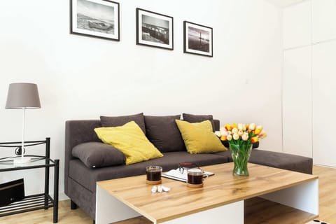 A further view of the living area, focusing on the television and entertainment setup. The minimalistic style is complemented by modern furniture.