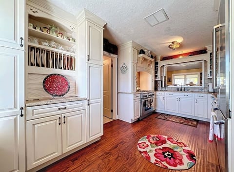 sink area overlooking the garden back yard