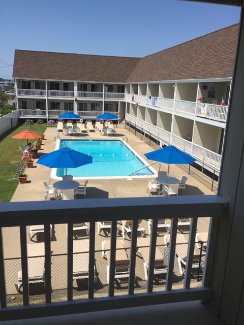 View of heated pool from room. 
