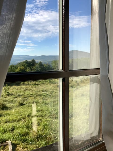 View from living room