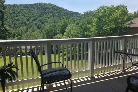A view of the bluffs over Lake Taneycomo from the balcony.