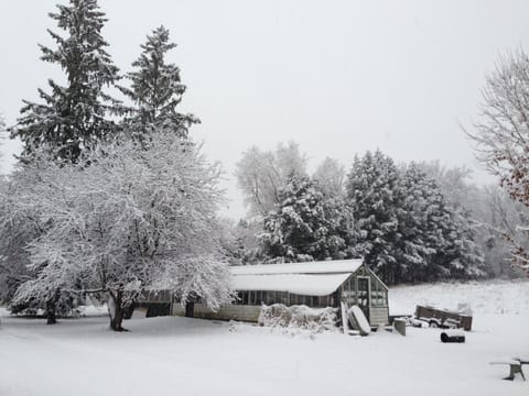 Greenhouse in winter
