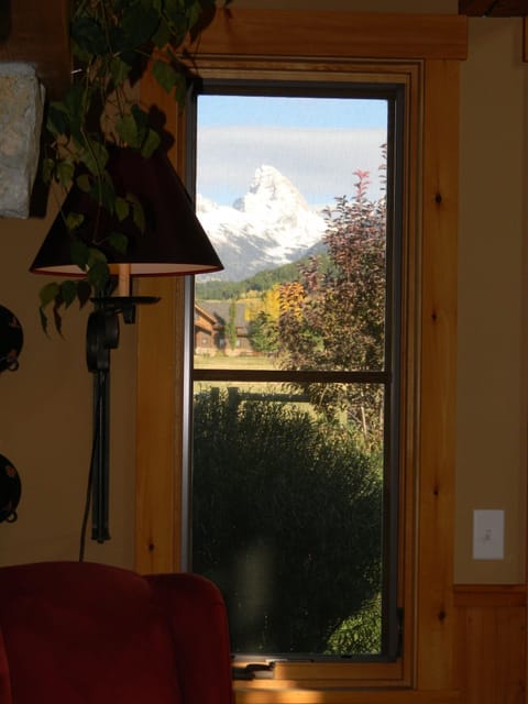 View from Living Room