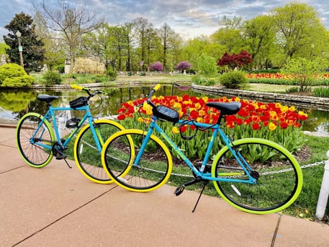 Take these 2 bikes for a stroll around Tower Grove Park (as shown here)!  