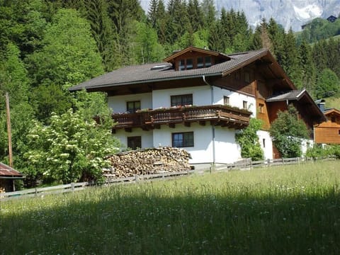 Double room1 with shower and toilet - Haus Meikl Apartment in Salzburgerland