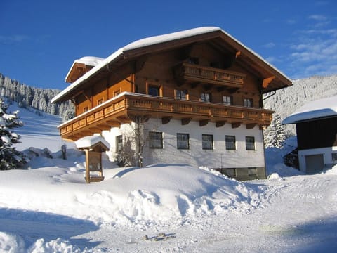 Apartment Schneeberg - Reith-Gut Farm Stay in Salzburgerland