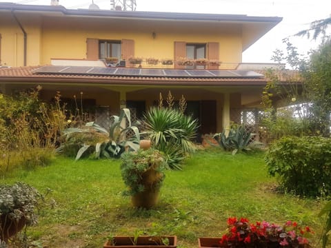 Front view