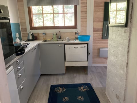 Kitchen: oven, dishwasher, induction plate & microwave