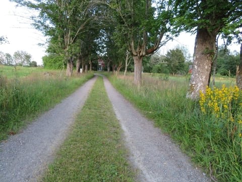Long driveway to Ringatorpet. Enjoy Swedish Summer in Småland. 200m to Åsnen.