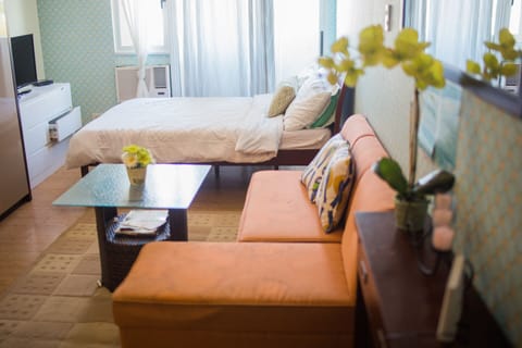 Studio Suite