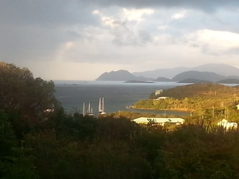 The view