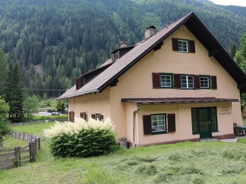 Ferienhaus Rieger: 2 separate apartments - Haus Rieger Apartment in Carinthia, Austria