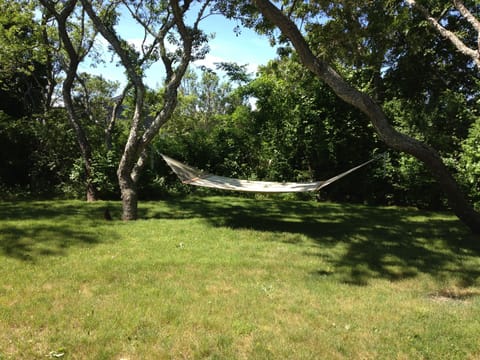 Large shady back yard with hammock