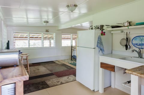 induction hot plate, microwave, toaster, barbecue grill