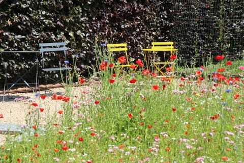 Een van de terrasjes van de bloemenweide