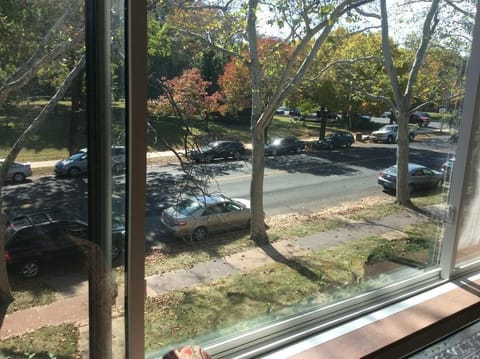 View from picture window