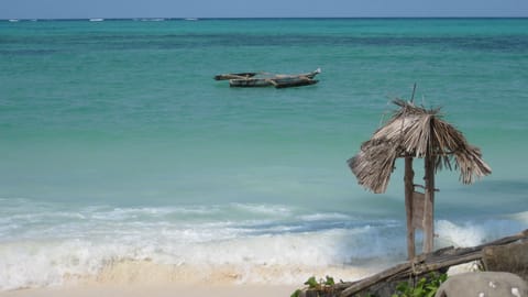East Coast Zanzibar