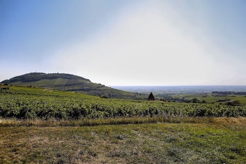 Holiday house with stunning views House in Auvergne-Rhône-Alpes
