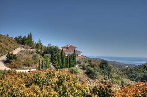 View from the north 