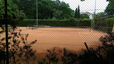 Sport court