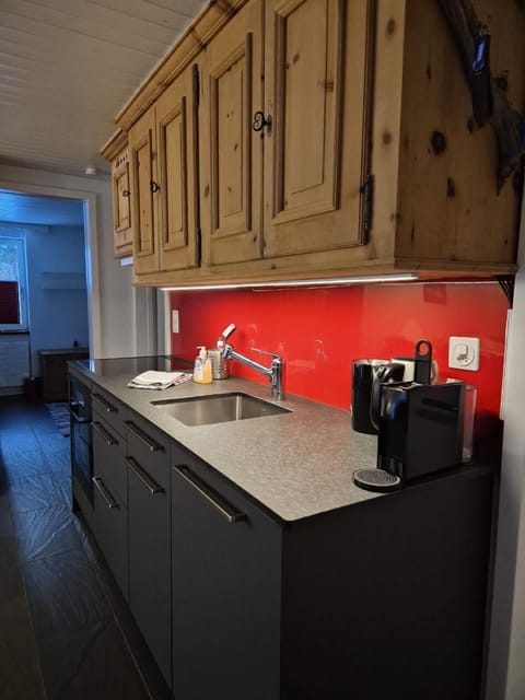 newly renovated kitchen with induction cooker and combi-steam