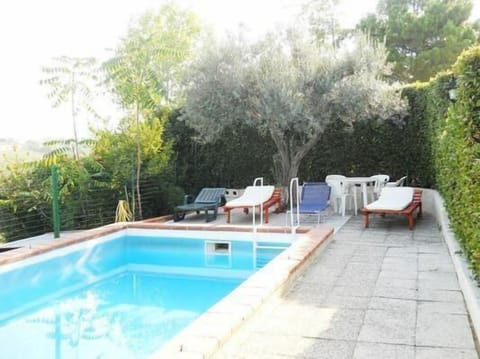 private swimming pool with shower ,long chairs and table under olive tree-total relax and privacy