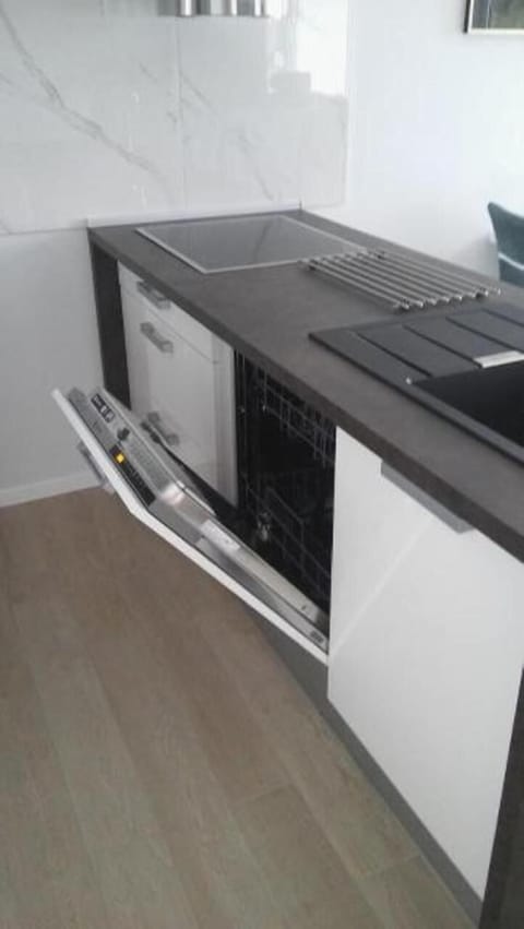 Kitchen area. Penthouse