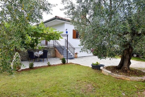 The house with large garden