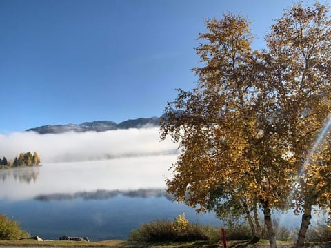 Autumn impression