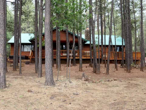 Back of Cabin