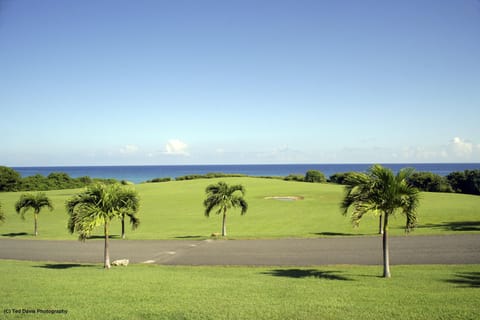 Gentle Winds chipping green