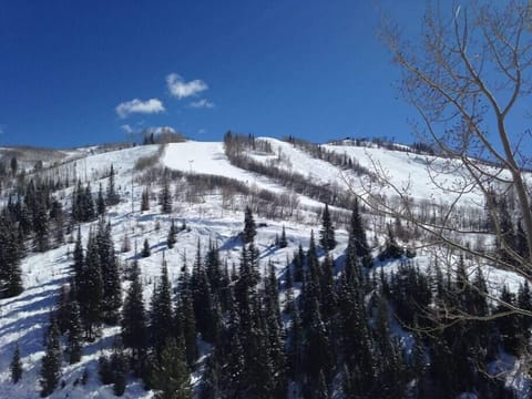 SteamboatDreamVacation.com - Ski-In/Ski-Out 2Br/2Bath - Spectacular Views