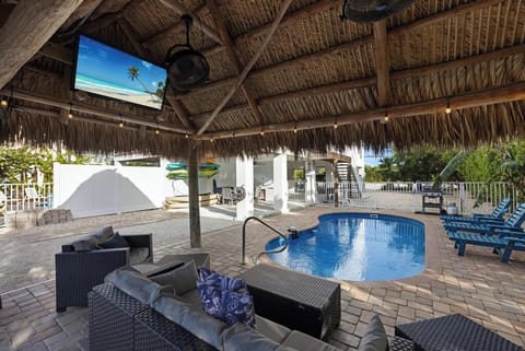 Tiki Hut with TV!!!
