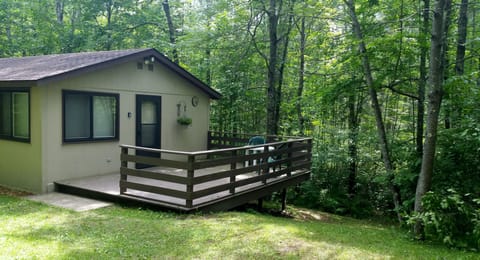 Quaint, and secluded, surrounded by majestic mature forest!