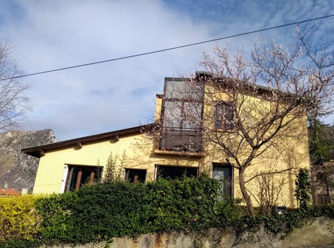 The house

