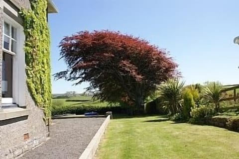 View from conservatory over upper lawn