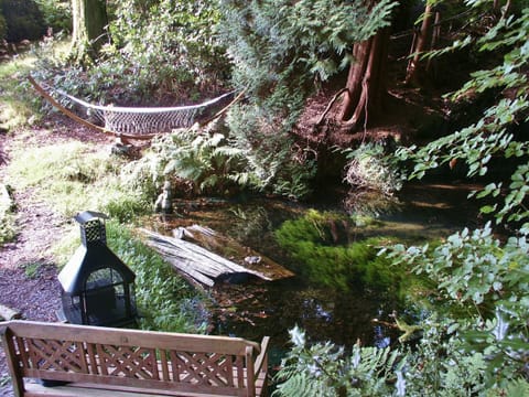 View from higher bench showing chiminea & hammock right next to pool