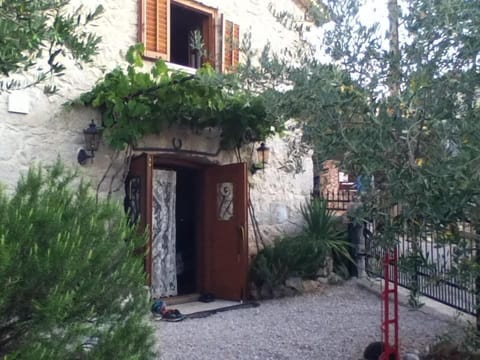 Picture 2