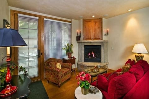 Living room with fireplace